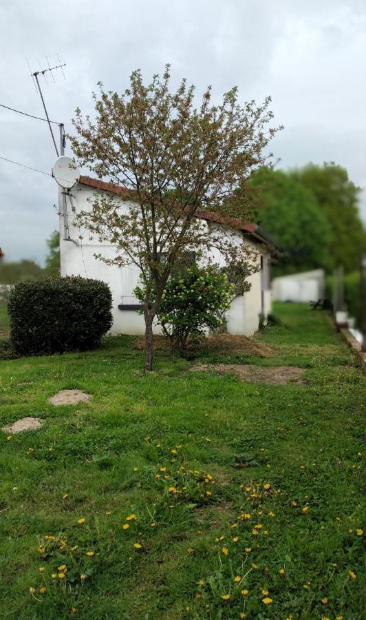 Maison studio individuelle fraichement rénovée Paray-le-Frésil Exterior foto